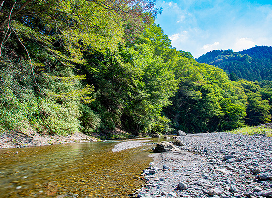 小森川